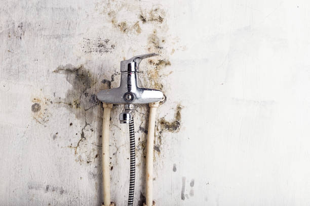 Water Damage Restoration in Joseph, OR