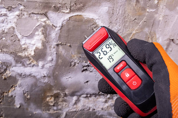 Best Commercial Mold Removal  in Joseph, OR