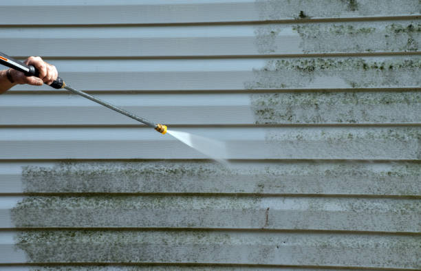 Certified Mold Removal in Joseph, OR